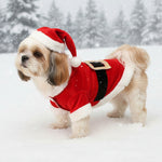 Christmas dog sweater, red with white fur trim and black belt with gold buckle