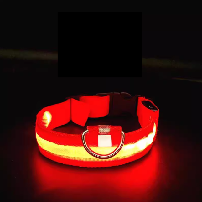 Red glowing LED pet collar with black buckle and D-ring