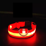 Red glowing LED pet collar with black buckle and D-ring