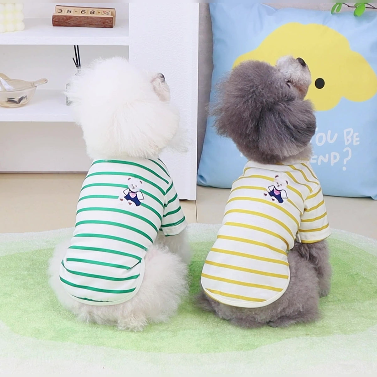 Small dog t-shirt, green and white stripes with bear graphic, dog sitting side view