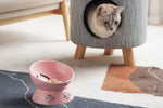 Pink tilted ceramic cat bowl with cartoon fish and cat prints