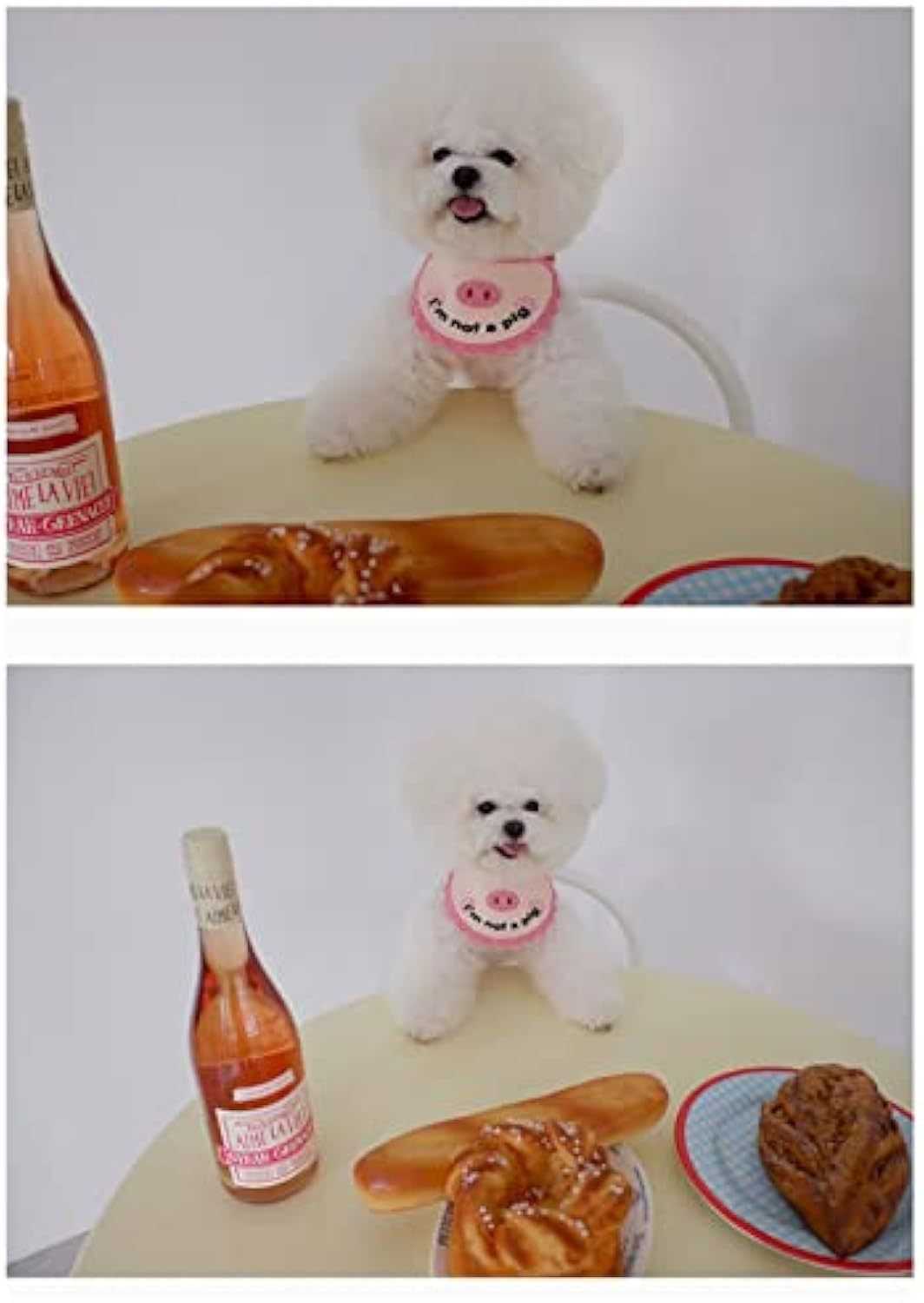 Pet dog wearing pink crochet drool towel bib with pig face applique