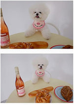 Pet dog wearing pink crochet drool towel bib with pig face applique