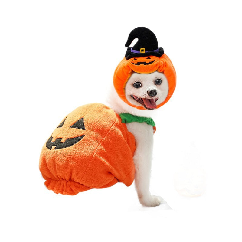 Orange pumpkin pet costume with green collar and black witch hat