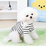 Small dog t-shirt, black and white stripes with bear graphic, white dog wearing