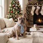 Pet Christmas necktie in blue and red holiday print, tied under the chin.