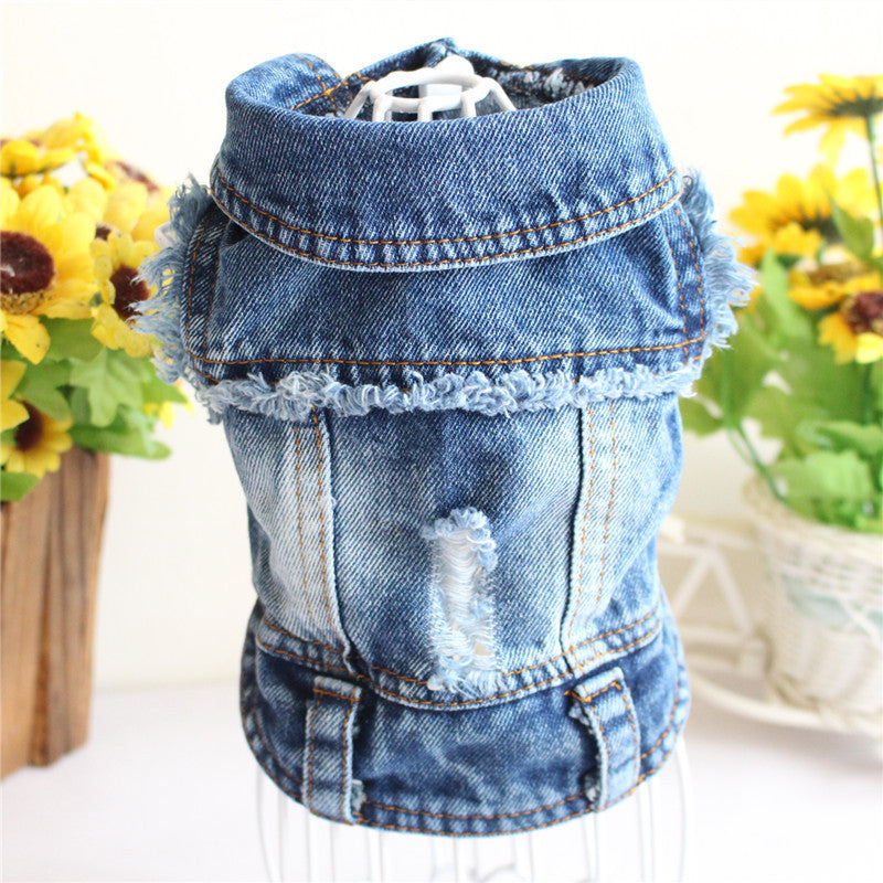 Blue denim pet jacket with frayed collar, distressed front, and snap-button closure