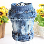 Blue denim pet jacket with frayed collar, distressed front, and snap-button closure