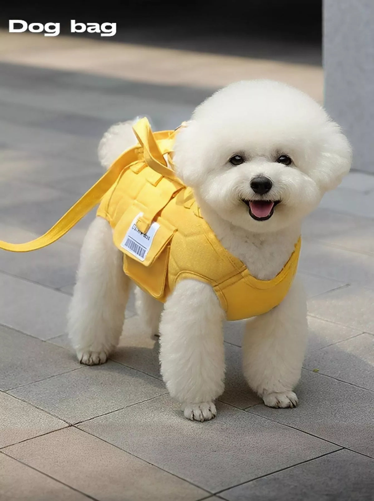 Yellow portable pet carrier harness with front pocket, worn on a small white dog