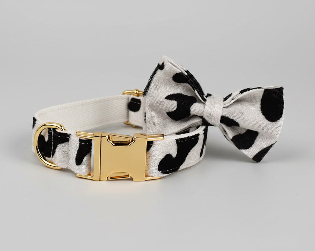 Dog collar with detachable bow tie on white fabric with black spots and gold buckle