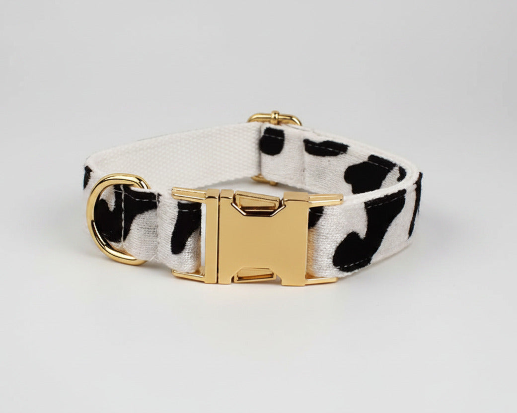 Dog collar close-up with gold buckle on white fabric with black spots