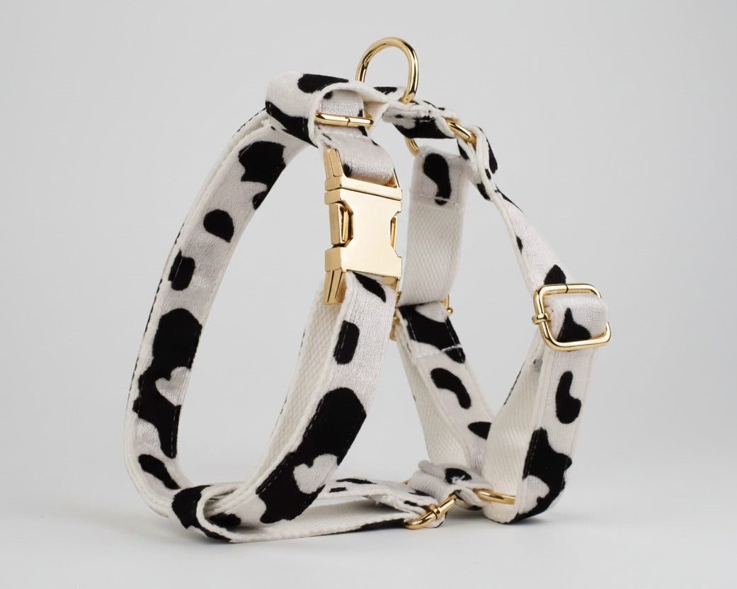 Dog harness with metal rings and straps; white with black spots, gold hardware