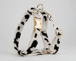 Dog harness with metal rings and straps; white with black spots, gold hardware