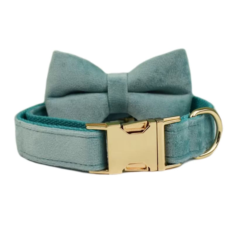 Teal velvet dog collar with matching bowtie and gold-tone buckle, close-up