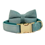 Teal velvet dog collar with matching bowtie and gold-tone buckle, close-up
