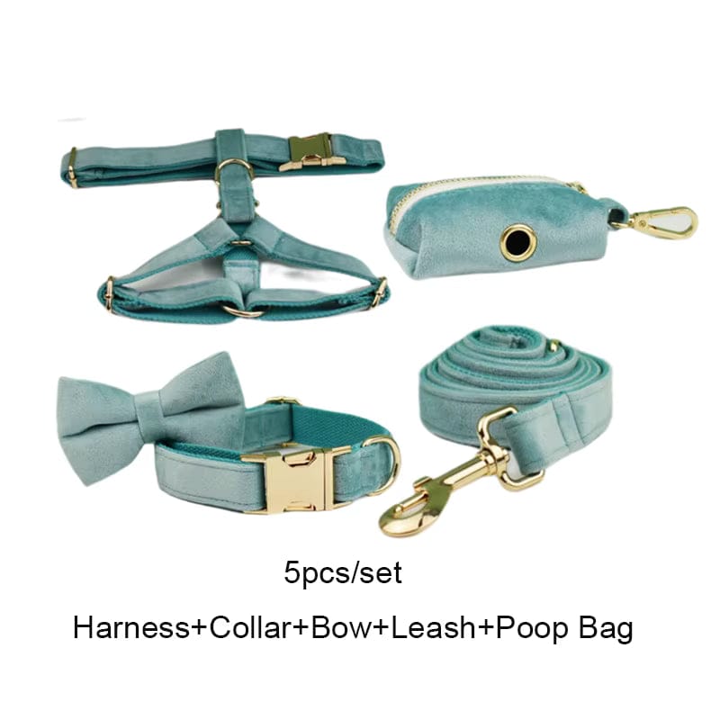 Teal velvet pet set: harness, collar, bow, leash, poop bag holder