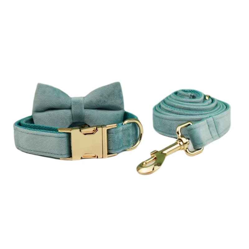Teal velvet pet collar with gold buckle and matching bow tie