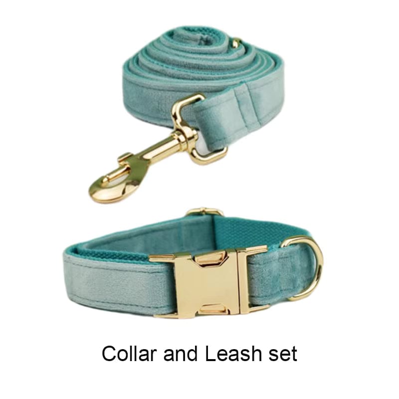 Teal velvet pet collar and leash set with gold hardware