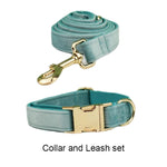 Teal velvet pet collar and leash set with gold hardware