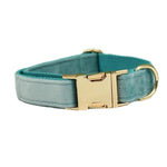 Teal velvet pet collar with gold buckle and D-ring