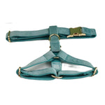 Teal velvet pet harness with gold hardware and front strap loops