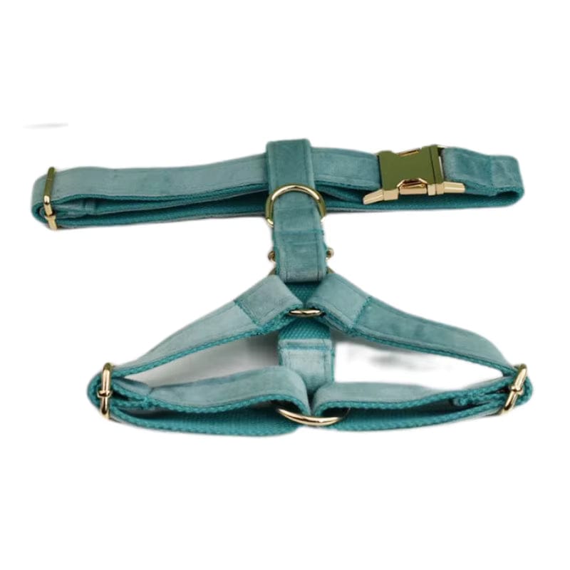 Teal velvet pet harness with gold hardware and front strap loops