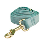 Teal velvet pet leash with gold clip and metal ring