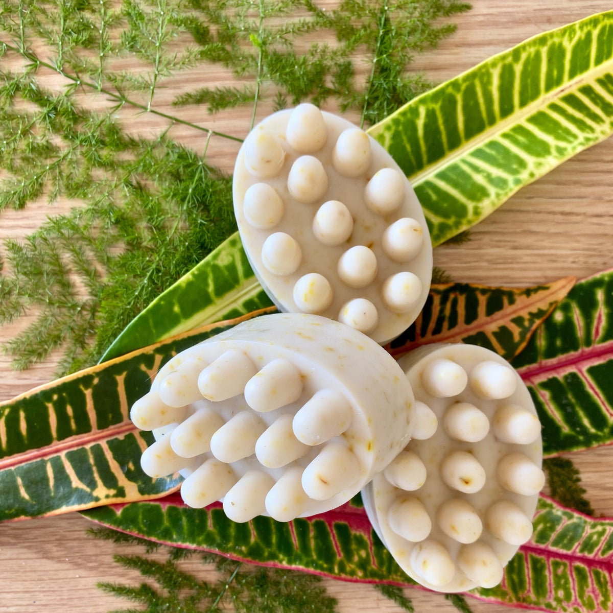 Oval pet soap bar with raised round bumps, in light cream color