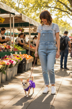 Purple pet dress with over-the-neck straps and gathered skirt on small dog