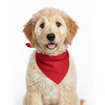 Cream dog wearing a red triangular pet bandana bib