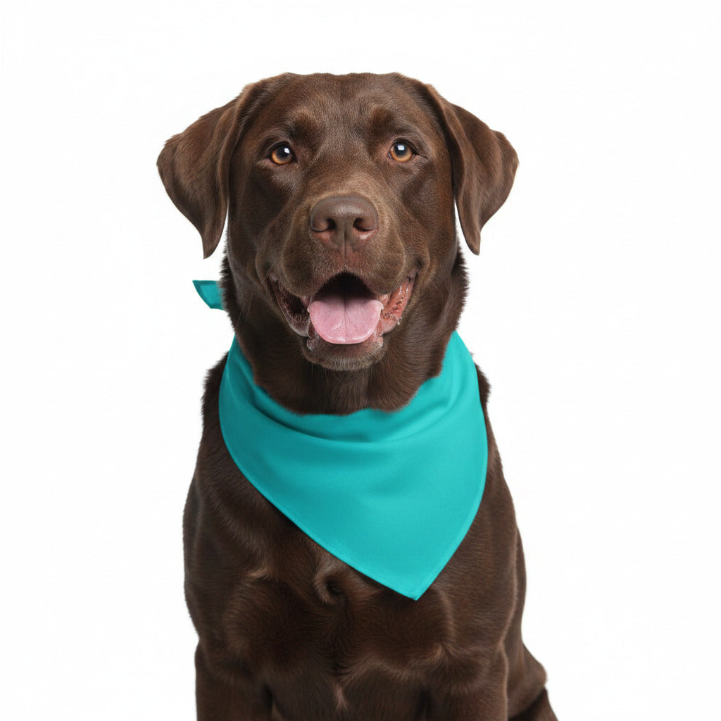 Brown dog wearing a teal triangular pet bandana bib