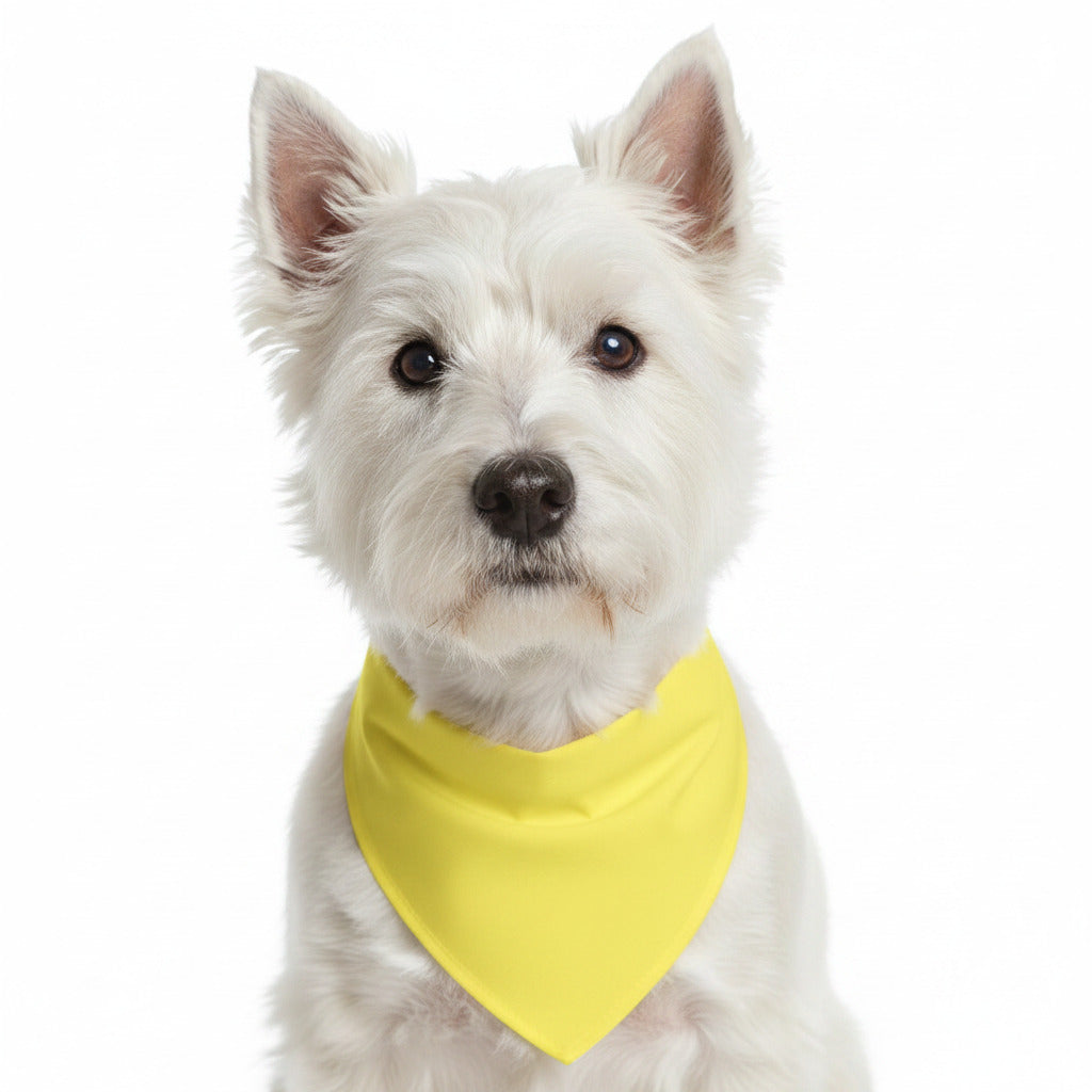 White dog wearing a yellow triangular pet bandana bib