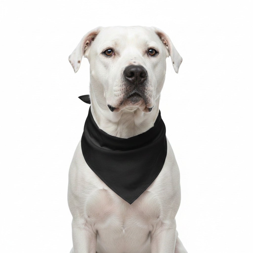White dog wearing a black triangular pet bandana bib