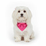 White dog wearing a bright pink triangular pet bandana bib