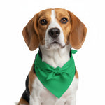 Brown and white dog wearing a green triangular pet bandana bib
