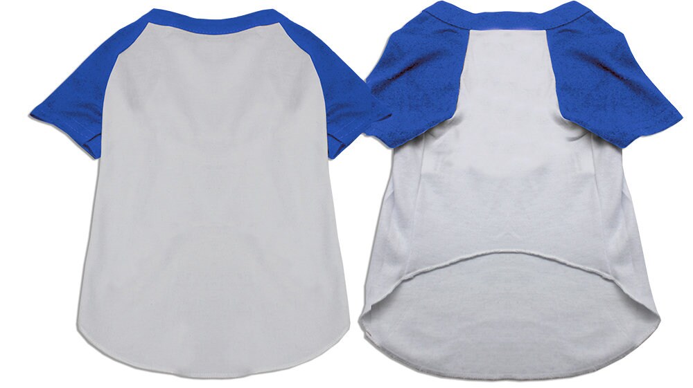 Raglan baseball pet shirt on dog, white body with blue raglan sleeves