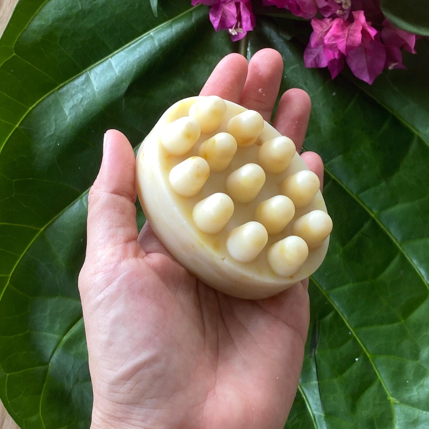 Cream pet soap bar with raised bumps held in an open palm