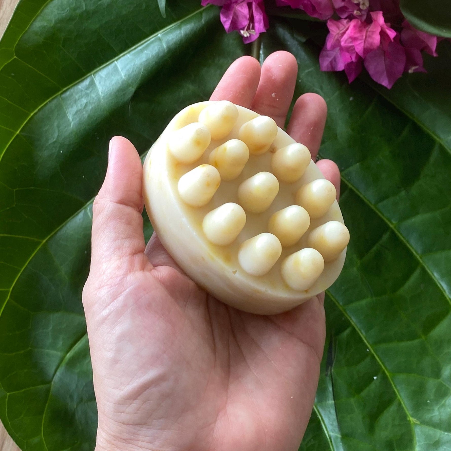Cream pet soap bar with raised bumps held in an open palm