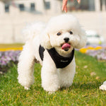 Black choke-free mesh dog harness with padded neck and chest panel
