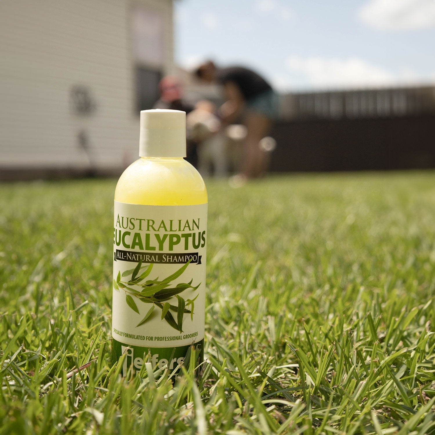 Dog shampoo bottle in grass with Australian Eucalyptus label