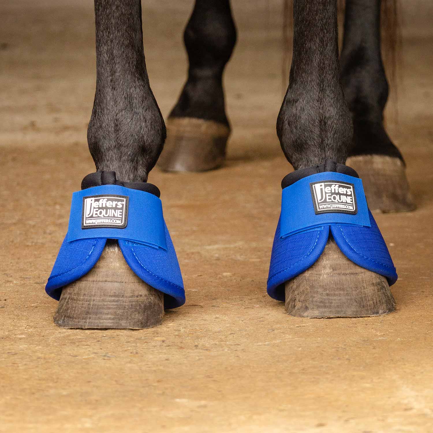 Blue no-turn bell boots on horse hooves with padded cuffs and Jeffer's Equine logos.
