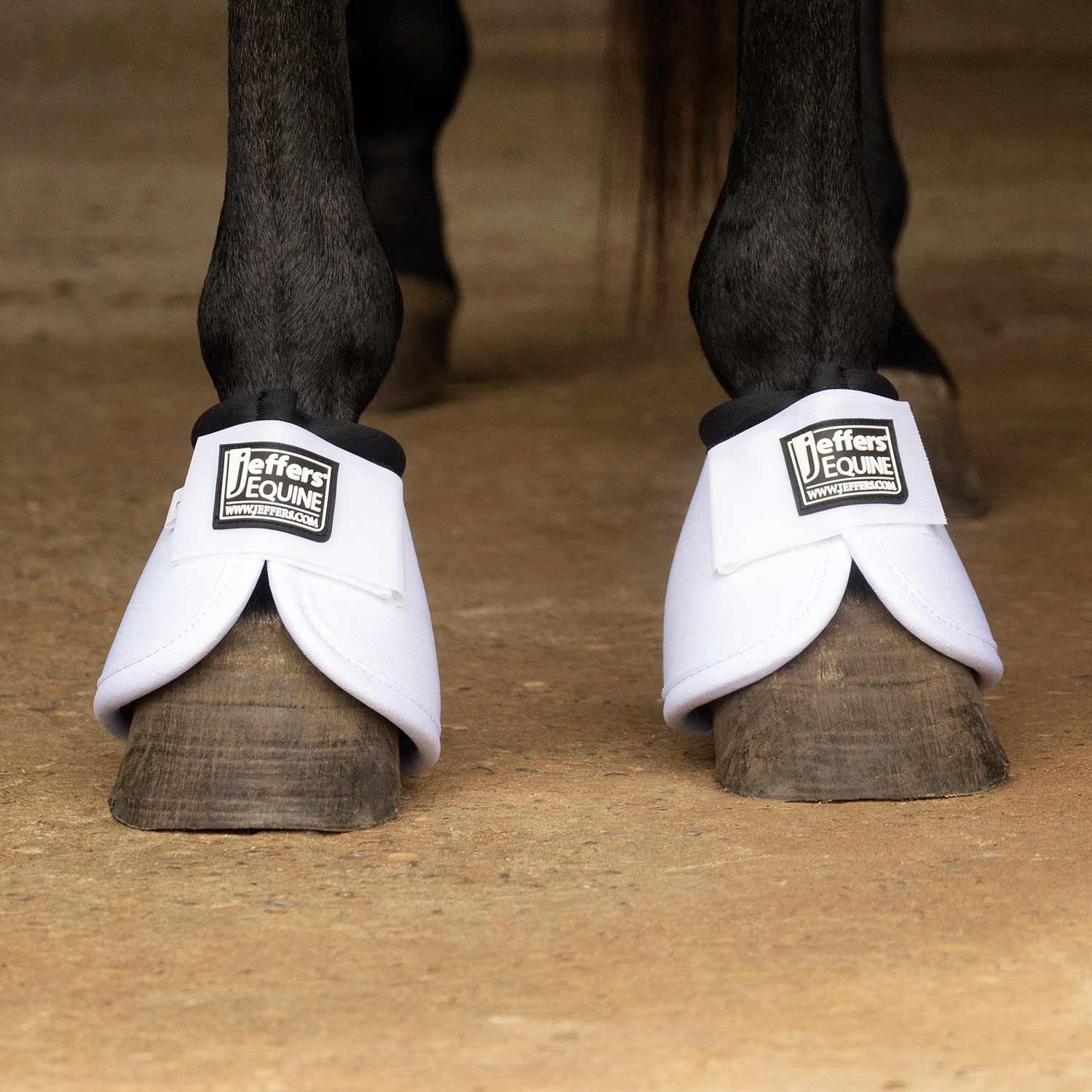 White no-turn bell boots on horse hooves with padded cuffs and front wrap straps