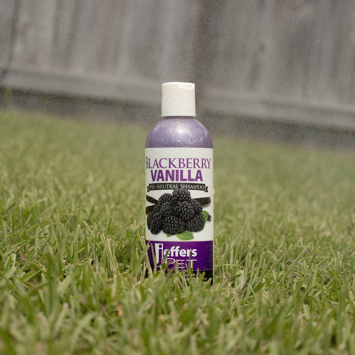 Jeffers Pet Blackberry Vanilla pH-neutral pet shampoo bottle standing in grass