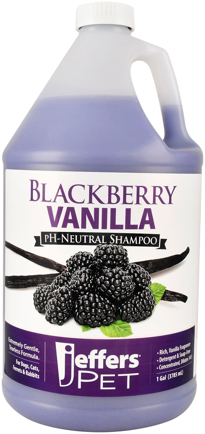Jeffers Pet Blackberry Vanilla pH-neutral pet shampoo, front view with blackberry artwork