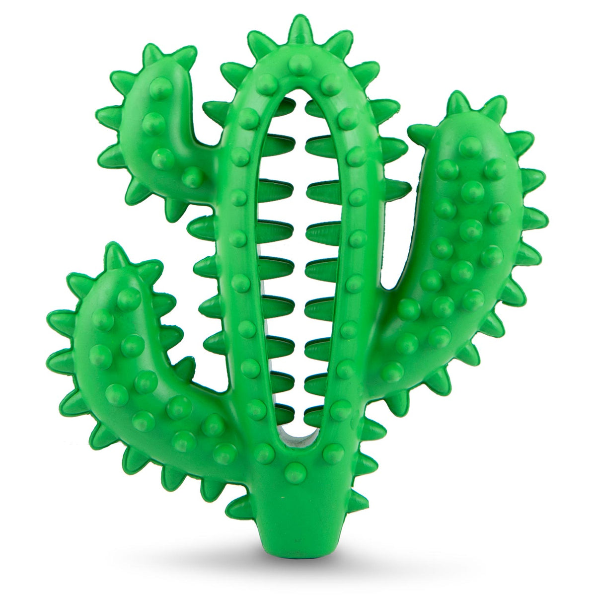 Green cactus-shaped dental chew toy with raised nubs and ridges