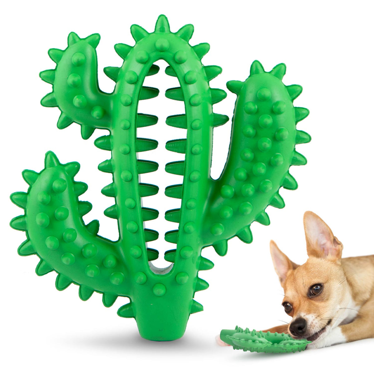 Green cactus-shaped natural rubber dental chew toy for dogs