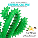 Green cactus dental chew toy with nubs and ridges on package
