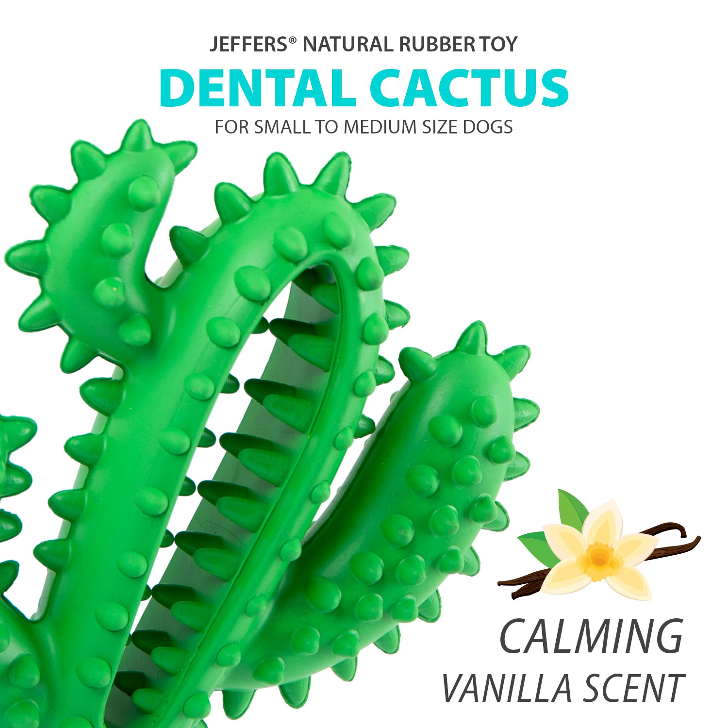 Green cactus dental chew toy with nubs and ridges on package