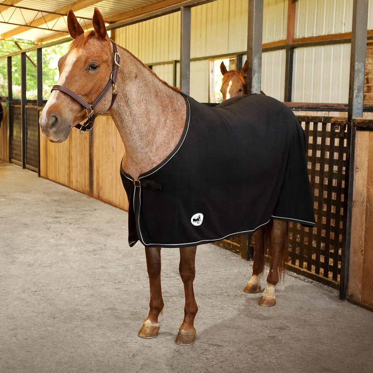 Horse fleece cooler blanket for horse, black with white piping and front closures