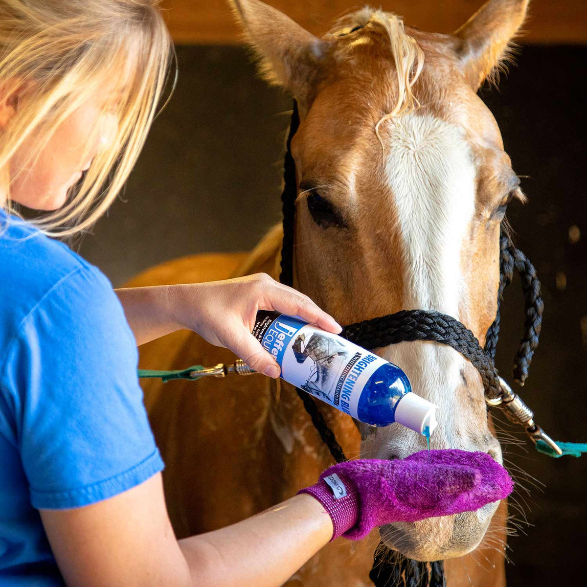 Woman brushing a horse with a blue-and-white whitening shampoo bottle and halter